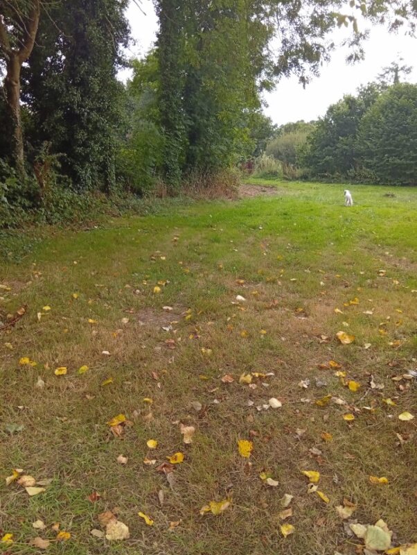 Aire camping-car  Saint-Connan (22480) - Photo 8